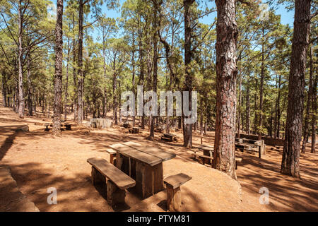 Tavoli in legno per picnic e barbecue all'interno della foresta , Esperanza, Tenerife - Foto Stock