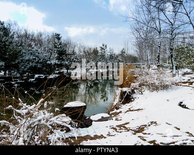 La fusione della neve nel parco in Shanghai Foto Stock