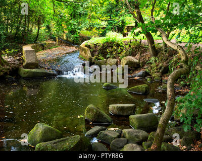 Inizio autunno bosco a Shipley Glen vicino a Baildon West Yorkshire Inghilterra Foto Stock