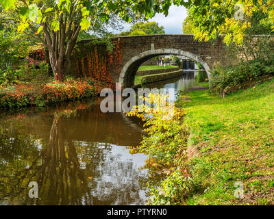 Gap Dowley Packhorse Ponte a Leeds e Liverpool Canal tra Saltaire e Bingley West Yorkshire Inghilterra Foto Stock