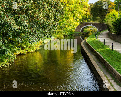 Gap Dowley Packhorse Ponte a Leeds e Liverpool Canal tra Saltaire e Bingley West Yorkshire Inghilterra Foto Stock
