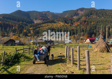 Zelene, Ucraina - 16 Ottobre 2017: autunno magnifico paesaggio con un cavallo carrello sulla strada rurale nelle montagne dei Carpazi, Ucraina. Foto Stock