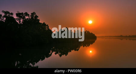 Rising Sun è alle spalle della mangrovia Foto Stock