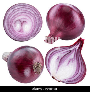 Cipolla rossa delle lampadine e le sezioni trasversali della cipolla. Il file contiene il percorso di clipping per ciascuno degli elementi. Foto Stock