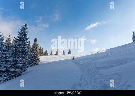 Paesaggio invernale del turista a piedi il 'Rusinowa Polana' - radura in Tatry montagne, Polonia Foto Stock