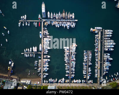 Molo di cemento con luce di molte barche e yacht in Budva in Montenegro. Alcune barche sono in mare. Ci sono alberi verdi e una piccola spiaggia verso il basso. Esso Foto Stock