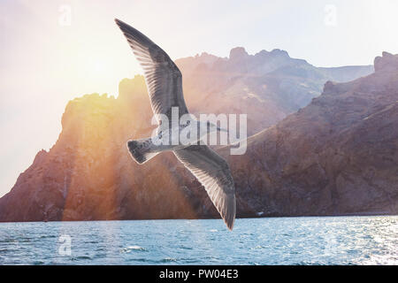 Albatross volo degli uccelli nel cielo sereno sulla cresta di rocce Kara - Dag in Crimea Foto Stock