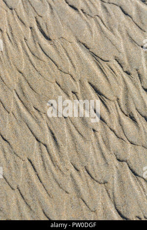 Bassa marea increspatura / creste fluviali in spiaggia bagnata sabbia. Concetto di pattern di flusso Marte-like. Per lo studio di stratigrafia. Foto Stock