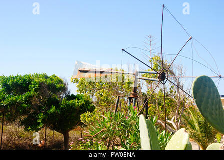 Vecchio mulino a vento vintage e un cactus di Sissi a Creta in Grecia Foto Stock