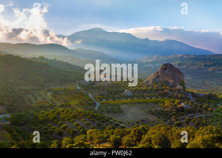 Le piantagioni di olive in alta montagna dell'isola di Creta, Grecia Foto Stock