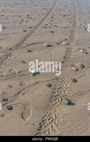 Impressioni del battistrada del pneumatico / Tracce di pneumatici su bagnato spiaggia sabbiosa. Foto Stock