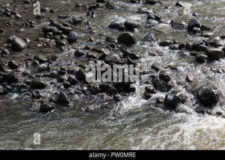 Close up di gentilmente correndo acqua su scivolose, ciottoli bagnata a Ho'olawa in streaming in Haiku, Maui sulla strada di Hana Foto Stock