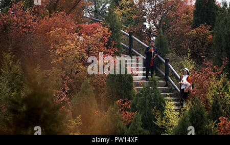 Pechino, Cina. 10 ottobre, 2018. I turisti di visitare la Grande Muraglia di Badaling scenic area nel quartiere di Yanqing di Pechino, capitale della Cina, Ottobre 10, 2018. Credito: Li Xin/Xinhua/Alamy Live News Foto Stock