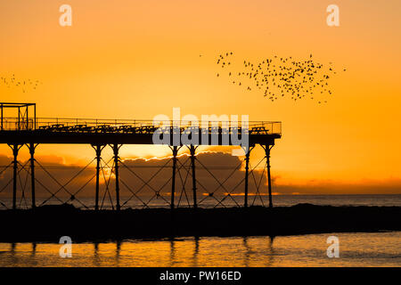 Aberystwyth Wales UK, giovedì 11 ottobre 2018. Regno Unito: Meteo nella calma prima della gales di tempesta Callum ha colpito la costa ovest, centinaia di storni volare in murmurations al di sopra del contorno di Aberystwyth il molo sul mare come il sole tramonta maestosamente su Cardigan Bay. Photo credit: Keith Morris/ Alamy Live News Foto Stock