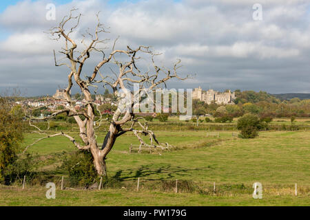 Arundel, West Sussex, Regno Unito. 11 ottobre, 2018. Spesso oscura pioggia e nuvole temporalesche la raccolta di oltre il Castello di Arundel nella bellissima valle di Arun nel West Sussex ai piedi del South Downs national park. Tipicamente autunnale di tempo con la raccolta di nuvole portando pioggia e docce una segnalazione fine alle belle giornate di sole delle prime settimane d'autunno. Credito: Steve Hawkins Fotografia/Alamy Live News Foto Stock