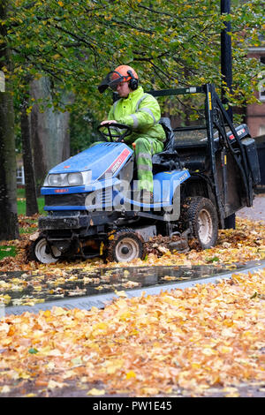 Hereford, Herefordshire, Regno Unito - Venerdì 12 Ottobre 2018 - Personale dorato chiaro Foglie di autunno dalla cattedrale verde in Hereford su un umido e ventoso Storm Callum giorno. Foto Steven Maggio / Alamy Live News Foto Stock