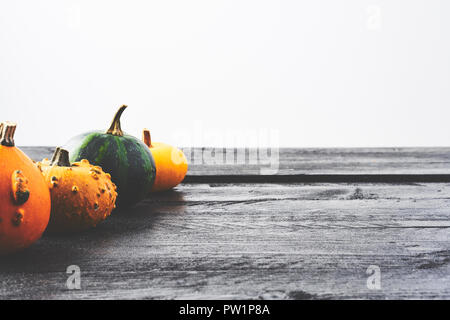 Rustico sfondo d'autunno. Giallo, verde e arancione zucca su tavoli in legno nero su sfondo bianco con copia spazio. Foto Stock