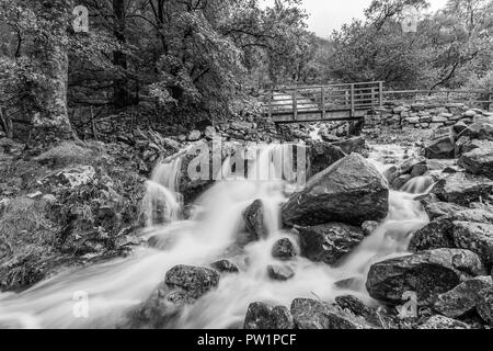 Forza di scala in Cumbria Foto Stock