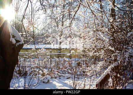 Inverno sfondo con il pupazzo di neve alberi, abete e cespugli. Bosco sotto la neve sullo sfondo innevato. Impianto a frosty giorno. Foto Stock