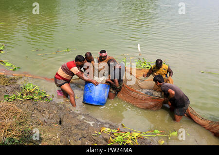 Le catture dei pescatori del loro pesce coltivato in un stagno a Shibganj in Bogra, Bangladesh. Foto Stock