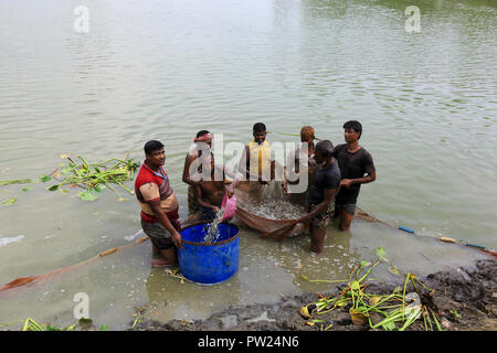 Le catture dei pescatori del loro pesce coltivato in un stagno a Shibganj in Bogra, Bangladesh. Foto Stock