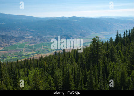 Vista dal Monte Kobau, British Columbia, Canada Foto Stock