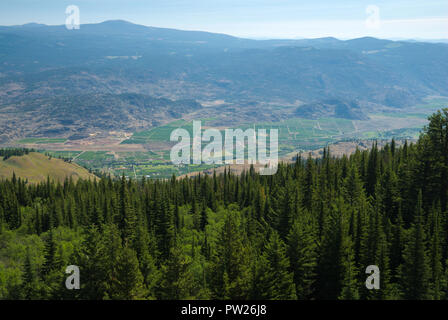 Vista della campagna di Osoyoos da Mount Kobau, British Columbia, Canada Foto Stock