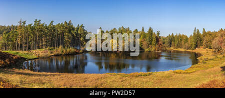 I colori autunnali a Tarn Hows. Lake District North West England. Foto Stock