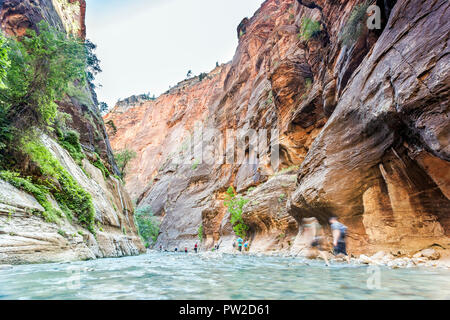 Gli escursionisti a piedi sul fondo del canyon riempito con acqua nel Parco Nazionale di Zion, Utah, Stati Uniti d'America Foto Stock