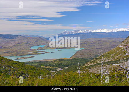 Panorama della Patagonia nel Parco Nazionale Torres del Paine in Cile Foto Stock