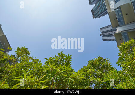 Bassa angolazione degli edifici moderni e verde con cielo chiaro dello sfondo. Foto Stock