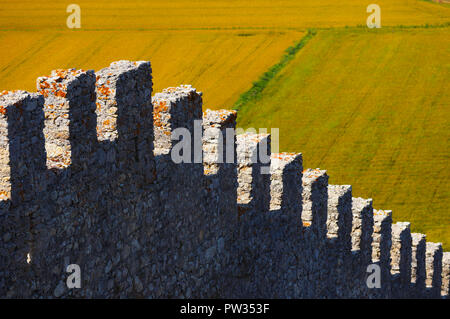 Un abstract immagine catturata dall'interno Castelo do Montemor-o-Velho raffiguranti le antiche pareti esterne del castello ed i campi di riso di seguito. Foto Stock