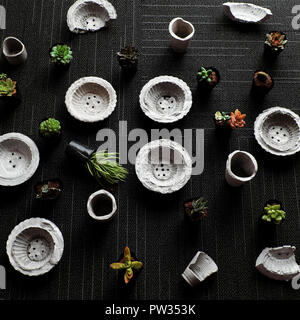 Fatte a mano pentola floreale fanno da cemento per pianta succulento per arredamento della casa, incredibili sfondo nero con mini pentole e botanica verde dalla vista superiore Foto Stock