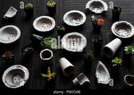 Fatte a mano pentola floreale fanno da cemento per pianta succulento per arredamento della casa, incredibili sfondo nero con mini pentole e botanica verde dalla vista superiore Foto Stock