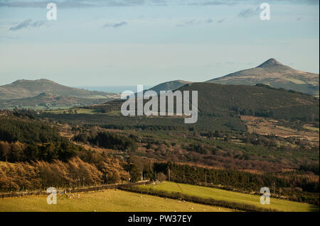 Guardando ad est da Glencree oltre Curtlestown, verso la montagna di Sugarloaf, Wicklow, Irlanda Foto Stock