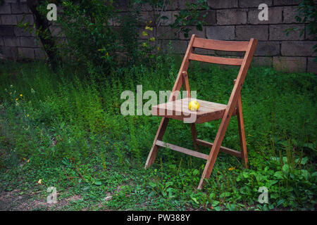 In legno antico sedia pieghevole nel paese giardino Foto Stock