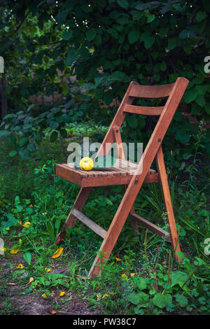 In legno antico sedia pieghevole nel paese giardino Foto Stock