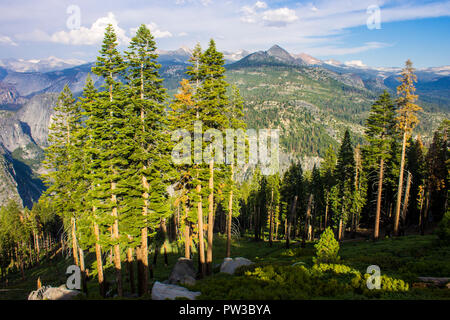 Vedute della valle di Yosemite dal punto di Washburn area di osservazione. Un sito del Patrimonio mondiale dal 1984 Foto Stock