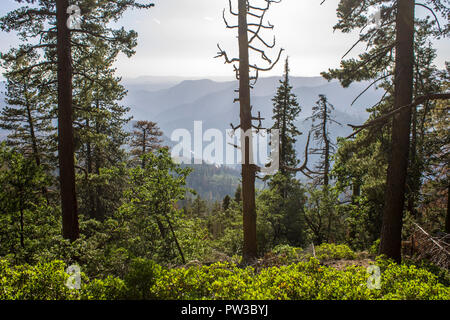 Vedute della valle di Yosemite dal punto di Washburn area di osservazione. Un sito del Patrimonio mondiale dal 1984 Foto Stock