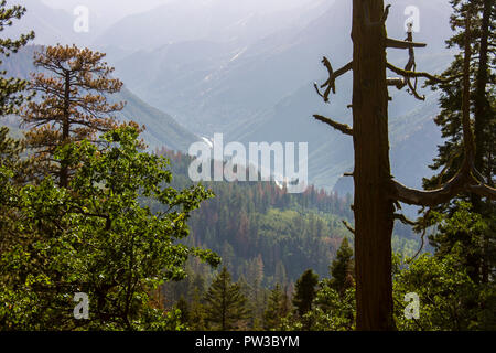 Vedute della valle di Yosemite dal punto di Washburn area di osservazione. Un sito del Patrimonio mondiale dal 1984 Foto Stock