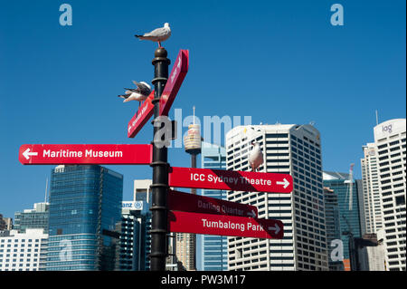 18.09.2018, Sydney, Nuovo Galles del Sud, Australia - una vista di Sydney il paesaggio urbano con il distretto centrale degli affari come si vede dal Darling Harbour. Foto Stock