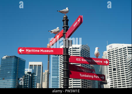 18.09.2018, Sydney, Nuovo Galles del Sud, Australia - una vista di Sydney il paesaggio urbano con il distretto centrale degli affari come si vede dal Darling Harbour. Foto Stock