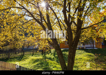 Soleggiata giornata autunnale nel villaggio nelle montagne dei Carpazi, Ucraina Foto Stock