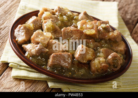 Messicana autentica il Cile di maiale verde con pezzetti di carne di maiale spalla cotta lentamente in un arrosto di tomatillo e jalapeno closeup su una piastra sul tavolo. Orizz. Foto Stock