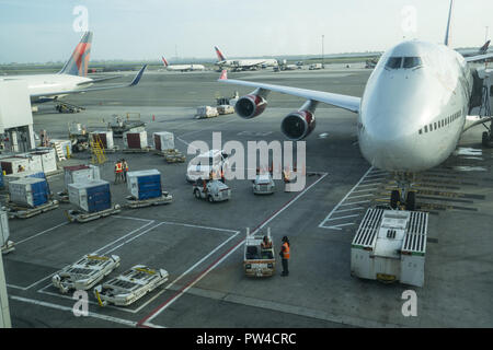 Compagnia aerea personell su asfalto la preparazione di aeroplani per il decollo al JFK International Airport di New York City. Foto Stock