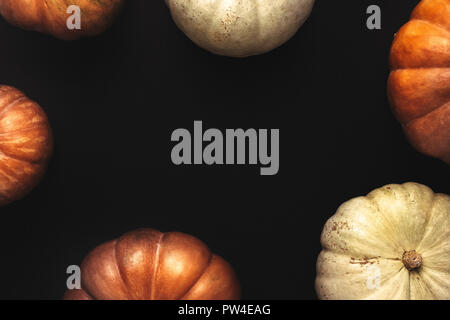 Telaio di autunno di Orange e zucche bianco su sfondo nero. Vista superiore del telaio di Halloween con spazio per i messaggi di saluto. Foto Stock