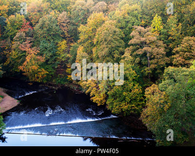 In autunno gli alberi lungo la lunga passeggiata a madre Shiptons dal castello in Knaresborough North Yorkshire, Inghilterra Foto Stock