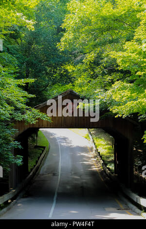 Ponte coperto nel Michigan del nord presso il National Lakeshore di Sleeping Bear Dunes nell'impero, Michigan su Pierce Stocking Scenic Drive Foto Stock