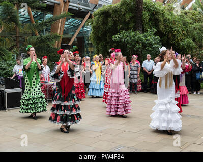 Ballerini di Flamenco a Sheffield dimostrare Flamenco Dancing in occasione di festival di danza. Il giardino d'inverno, Sheffield South Yorkshire, Englan Foto Stock