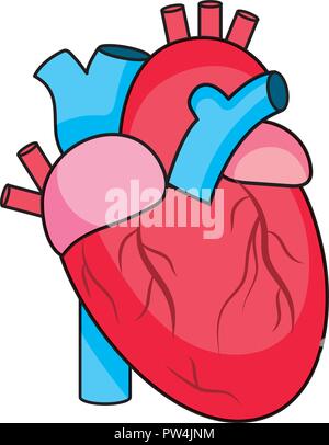 Cuore umano simbolo Illustrazione Vettoriale